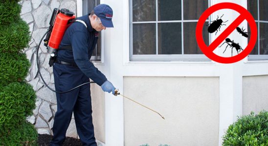 Korgan Bit İlaçlama böcek ilaçlama ve haşere kontrolü — ilaclama-tr.com